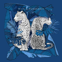 Sketch of a two sit leopard in a blue exotic palm, banana, monstera leaves. Wild and dangerous - lettering quote. T-shirt composition, Hand drawn style print. Vector illustration.
