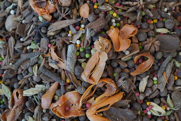 herbs brown  macro