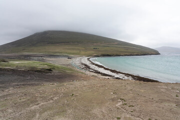 Saunders Island at The Neck cabin, West Falkland Islands.
Senecio candidans 
