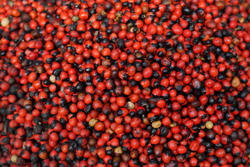 Pepper macro