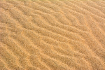 Fine beach sand in the summer sun.   Sand texture. Sandy beach for background. Top view.