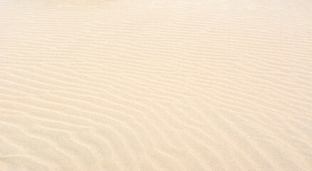 Fine beach sand in the summer sun.   Sand texture. Sandy beach for background. Top view.