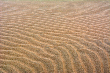 Fine beach sand in the summer sun.   Sand texture. Sandy beach for background. Top view.