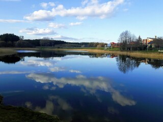 Obraz premium reflection of trees in the lake