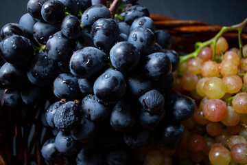 Grape bunch on white plate