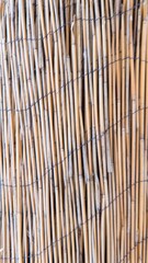 a texture of stubbles with vertical lines
