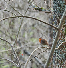 Paseo por el entorno natural de Listorreta hacia el embalse de Añarbe