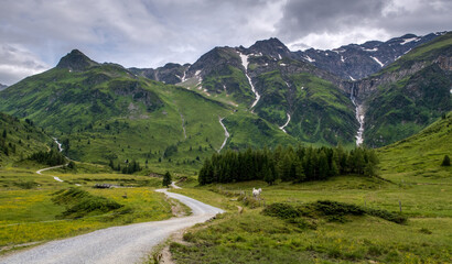 Fototapeta na wymiar road in mountains / Gastein valley, Austria