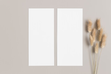 Two menu cards mockup with a lagurus deocoration, 4x9 ratio.