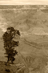 USA, Arizona. Grand Canyon National Park, South Rim.