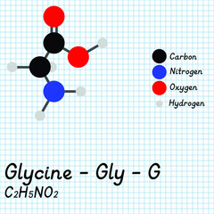 Glycine - Gly - G - Amino Acid molecular formula and chemical structure. 2D Ball and stick model on school paper sheet background. EPS10
