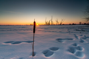 Sunrise over the frozen river © Krzysztof