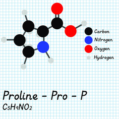 Proline - Pro - P - Amino Acid molecular formula and chemical structure. 2D Ball and stick model on school paper sheet background. EPS10
