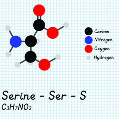 Serine - Ser - S - Amino Acid molecular formula and chemical structure. 2D Ball and stick model on school paper sheet background. EPS10
