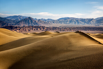 Fototapeta na wymiar USA, California, Death Valley National Park, Early morning on the Mesquite Flat Dunes