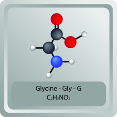 Glycine - Gly - G - Amino Acid chemical structure. Molecular formula ball and stick model of Histidine Molecule. Biochemistry class, Biological and Chemical vector illustration. EPS10