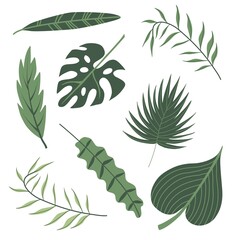 Set of wild tropical plants leaves. Isolated vector illustration