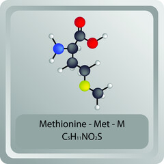 Methionine - Met - M - Amino Acid chemical structure. Molecular formula ball and stick model of Histidine Molecule. Biochemistry class, Biological and Chemical vector illustration. EPS10