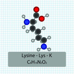 Lysine - Lys - K - Amino Acid molecular formula and chemical structure . 2D Ball and stick model on school paper sheet background. EPS10