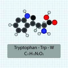 Tryptophan - Trp - W - Amino Acid molecular formula and chemical structure . 2D Ball and stick model on school paper sheet background. EPS10