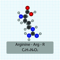Arginine - Arg - R - Amino Acid molecular formula and chemical structure . 2D Ball and stick model on school paper sheet background. EPS10