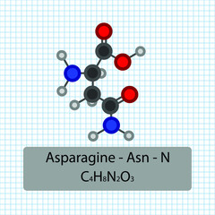 Asparagine - Asn - N - Amino Acid molecular formula and chemical structure . 2D Ball and stick model on school paper sheet background. EPS10