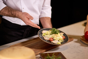 Master Class of Cooking by professional Chef in Restaurant, Cook in Apron Showing prepared fresh tasty salad, talk how to serve meal