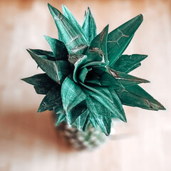 Ananas von oben betrachtet