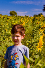 A boy standing in a sunflower field