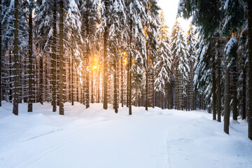 Cross country skiing track