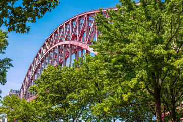 bridge over the river