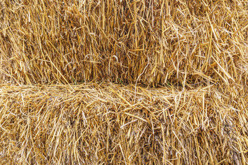 Fragment of a dry haystack close-up.