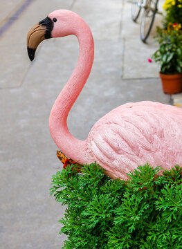 A plastic pink flamingo sits in bush on a sidewalk outside a shop.