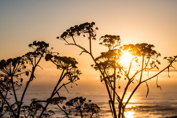 USA, California. Sunset over the Pacific Ocean, seen from Pacific Coast Highway on San Simeon North Shore.