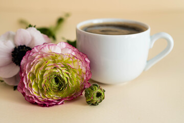 fiore rosa e tazza bianca di caffè su sfondo giallo