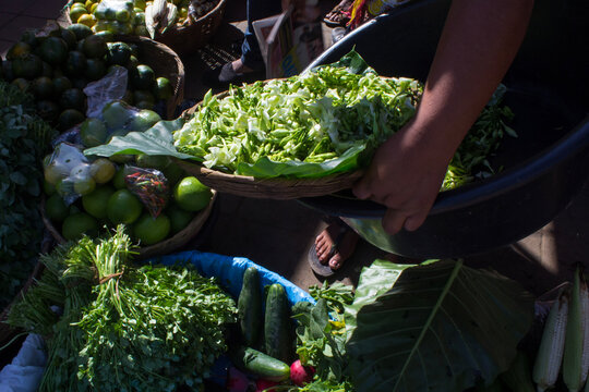 person selling loroco