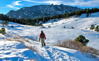 Snowshoer on Boulder, Colorado's Springbrook Trail