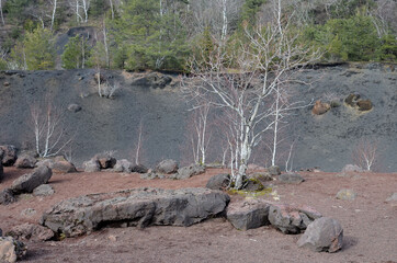 Volcanic landscape. Paysage volcanique. Le Puy de la Vache. Auvergne, France