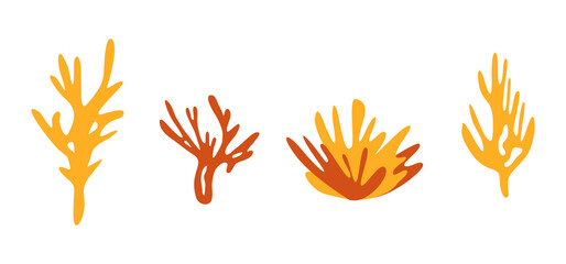 Coral set. Simple hand drawn sea element. Vector illustration