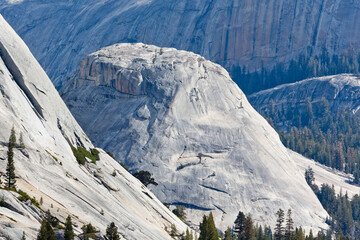 USA, California, Yosemite National Park. Medicott Dome, Yosemite National Park, California, from the Tioga Road