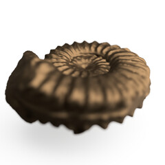Fototapeta premium Ammonite 3d rendering 