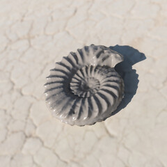 Ammonite 3d rendering 