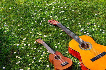 Acoustic guitar and ukulele on a green grass field with flowers