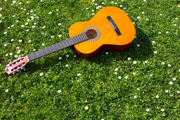 acoustic guitar lying on flowering meadow