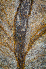 USA, California, Alabama Hills. Close-up of rock stain.