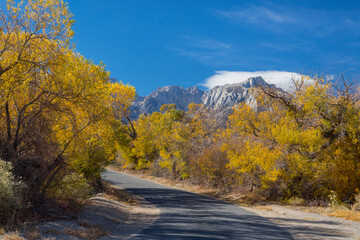 USA, California, Alabama Hills. Scenic of Tuttle Creek Road.