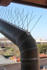 spine grondaia antipiccioni