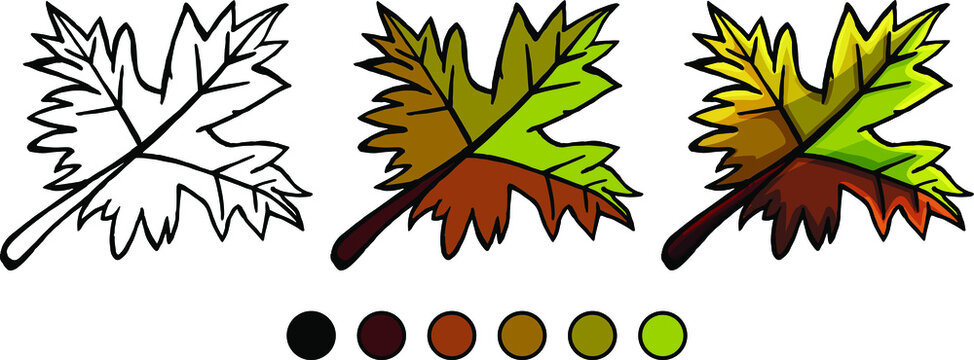 Illustration of a whimsical maple leaf on a white background, coloring book for children, outline style, flat style, cartoon style, isolated