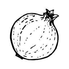 Pomegranate doodle drawing. Vector illustration isolated on a white background