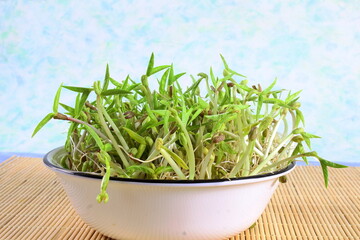 home grown fresh Sprouted mung beans or green gram beans 